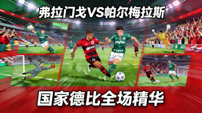弗拉门戈对阵帕尔梅拉斯的国家德比全场精华