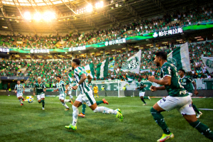 帕尔梅拉斯足球队在主场进行比赛